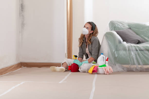 Reliable Mold Remediation contractor in Hunt Valley, MD by WQB Mold Removal
